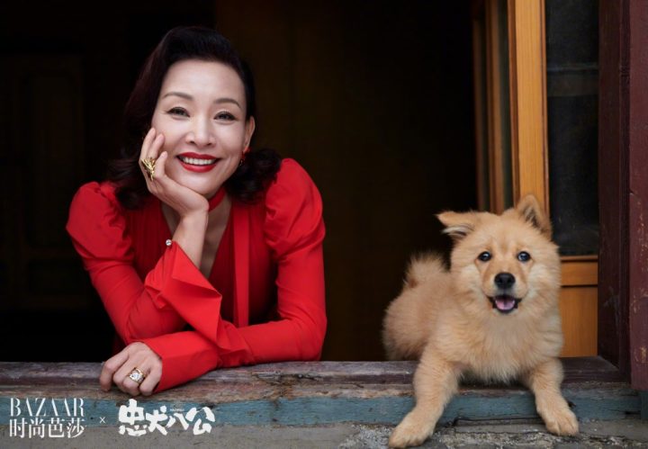 陈冲与《花月杀手》女主联手，好莱坞翻拍李安经典电影《喜宴》 -2