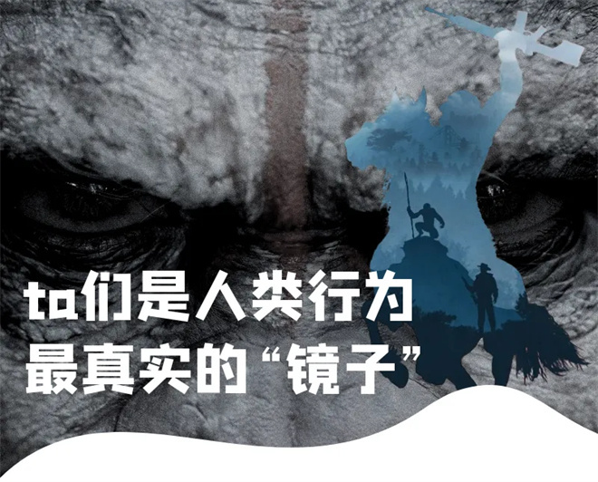 5月17日电影频道播出《猩球崛起：黎明之战》 -2