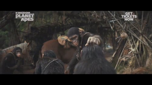《猩球崛起4》最新预告：人类与猿猴联手对抗邪恶 -2
