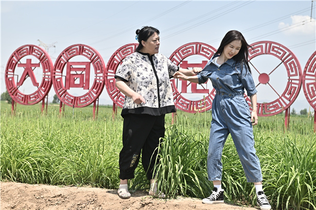 大同开机电影《我为你含苞待放》，倾力打造“忘忧黄花”文化牌 -2