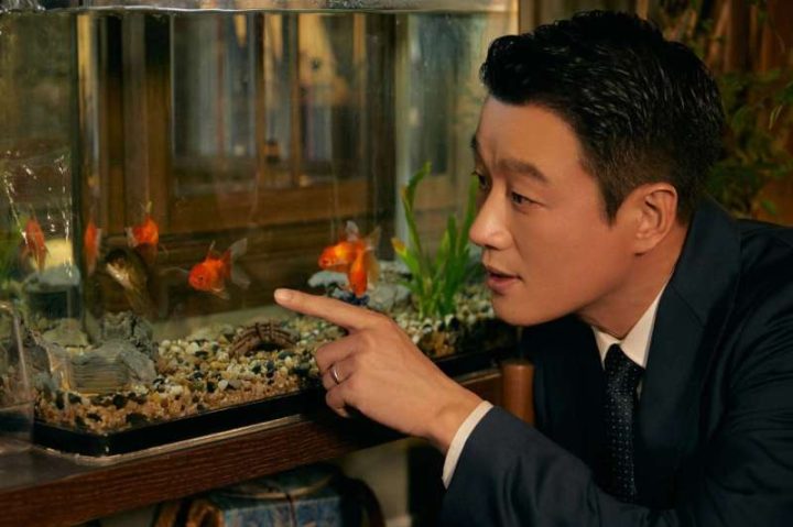 《玫瑰的故事》免费版百度网盘「HD720P/3.3G-MKV」迅雷资源种子下载国语中字 -2