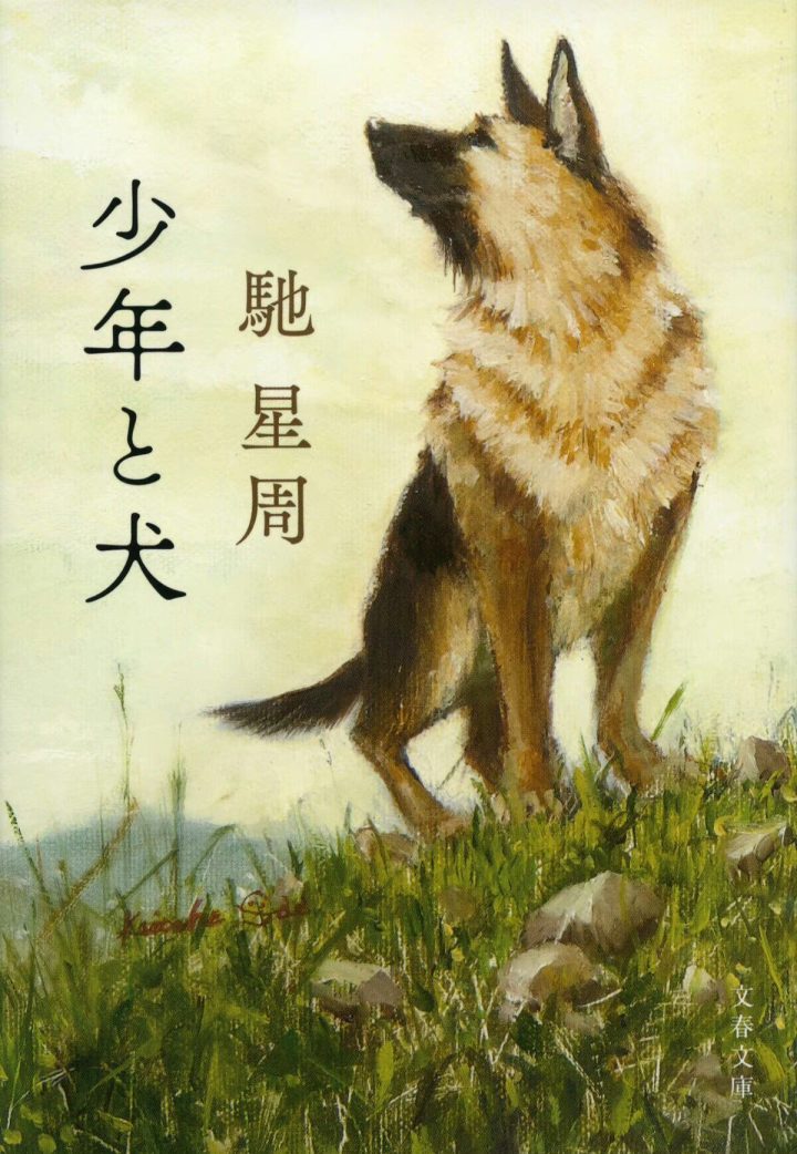 高桥文哉和西野七濑W主演的《少年与犬》改编获得直木奖 -2