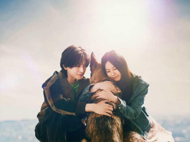 高桥文哉和西野七濑W主演的《少年与犬》改编获得直木奖 -1