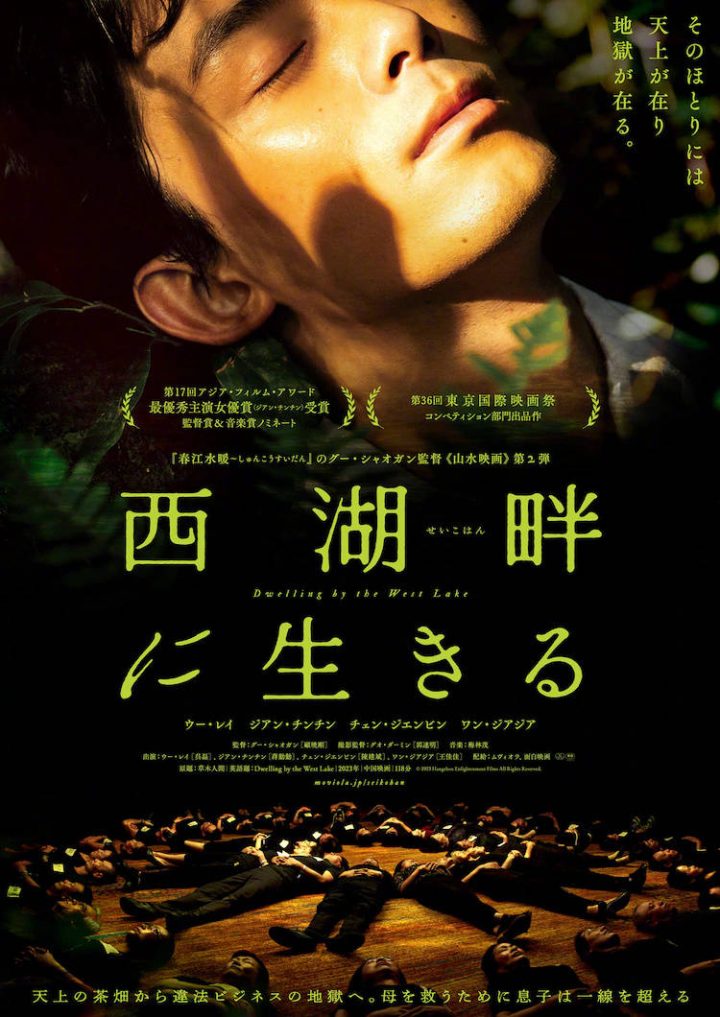 吴磊和蒋勤勤主演电影《草木人间》日本版预告曝光，将于9月27日在日本上映 -1