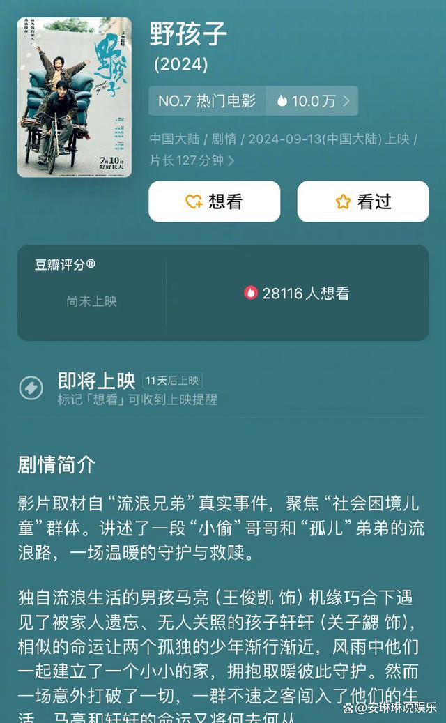 《野孩子》高清版（BD1280P/3.8G-MKV）迅雷资源种子下载百度云网盘国语中字 -1