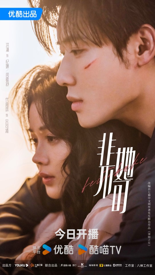 《非她不可》热播：洪潇代高政演绎爱恨交织，破镜终重圆 -1