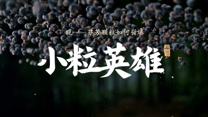 11月28日首播《风味人间5·香料传奇》，首映会陈晓卿分享传奇 -2