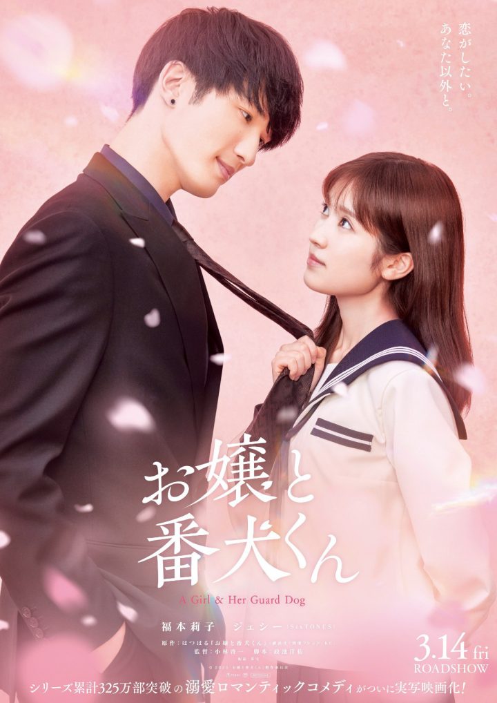 樱井海音：《大小姐和看门犬》情感升华 -2