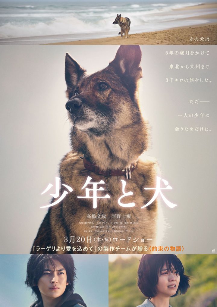 《少年与犬》首度曝光预告 高桥文哉主演直木奖作品 -1
