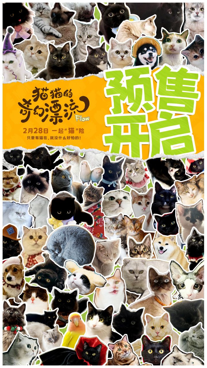 《猫猫的奇幻漂流》magnet磁力链接资源4k高清网盘（HD720P/3.9G-MKV）原声版 -2