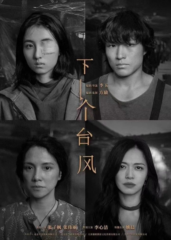 《下一个台风》迅雷资源下载国语中字网盘「BD1280P/3.2G-MP4」高清版 -1