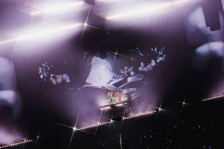 2025张远《白》深圳演唱会圆满落幕，三重惊喜引爆“春茧” -1