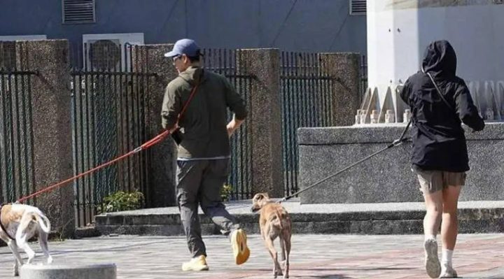 彭于晏新恋情传闻遭经纪人否认：仅遛狗之交 -1